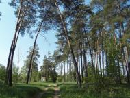 Обірки з panoramio.com