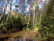 Магдин з panoramio.com