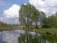 Мала Дівиця з panoramio.com