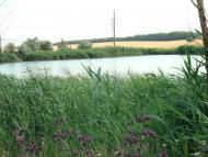 Новотошківське з panoramio.com