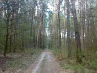 Діброво-Ленінське з panoramio.com