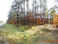 Бондарня з panoramio.com