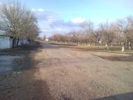 Новомиколаївка з panoramio.com