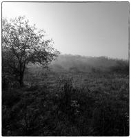 Мислова з panoramio.com