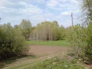 Зарябинка з panoramio.com