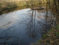 Терентіївка з panoramio.com