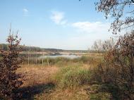 Красна Лука з panoramio.com