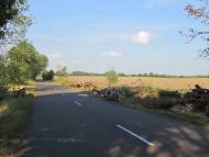 Клопіт з panoramio.com