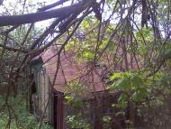 Коверівка з panoramio.com