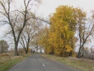 Устинкова Гребля з panoramio.com