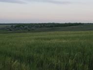 Малоярославець Другий з panoramio.com