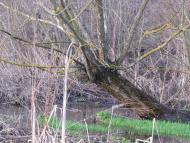 Кип'ячка з panoramio.com