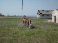 Серебрія з panoramio.com