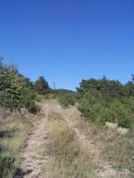 Лозове з panoramio.com