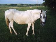 Дяківці з panoramio.com