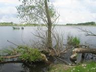 Час над рікою пливе...