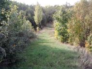 Пугачівка з panoramio.com