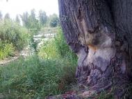 Кийлів з panoramio.com