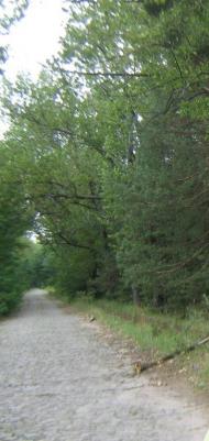 Нижні Яреськи з panoramio.com