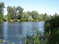 Потоки з panoramio.com