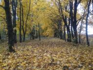 Вовківці з panoramio.com