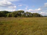 Чорногородка з panoramio.com