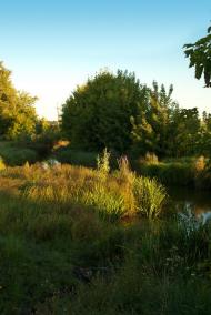 Остапівка з panoramio.com