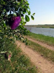 Переможне з panoramio.com