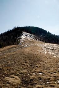 Букове з panoramio.com