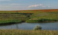 Переможне з panoramio.com