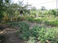 Городное - Последние фото