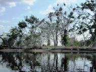 Орлівське з panoramio.com