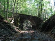 Тур'я Поляна з panoramio.com