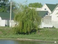 Вечірки - Останні фото