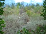 Каютине з panoramio.com