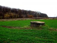 Онопріївка з panoramio.com