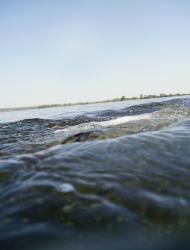 Орлівське з panoramio.com