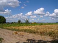 Травневе з panoramio.com