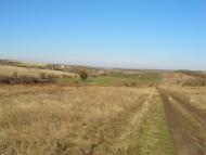 Новоолексіївка з panoramio.com