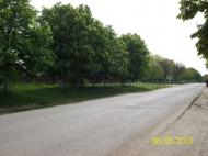 Удобне з panoramio.com