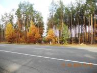 Бондарня з panoramio.com