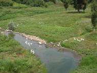 Червоноармійське з panoramio.com