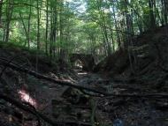 Тур'я Поляна з panoramio.com