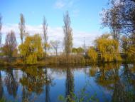 Летичів з panoramio.com