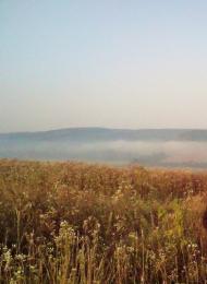 Куряни з panoramio.com