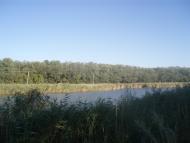 Новохортиця з panoramio.com