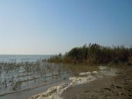 Глибоке з panoramio.com