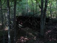 Тур'я Поляна з panoramio.com