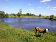 Гроза - Останні фото