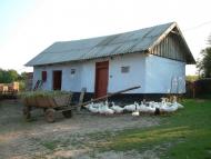 Бенева з panoramio.com